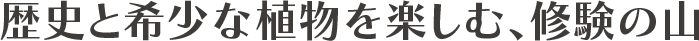 自然と歴史のパワーを感じる。 多良岳コース